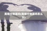 离婚分地基吗(离婚分地基吗怎么分)
