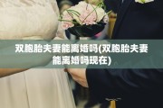 双胞胎夫妻能离婚吗(双胞胎夫妻能离婚吗现在)