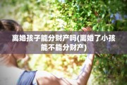离婚孩子能分财产吗(离婚了小孩能不能分财产)