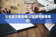 公证能不能离婚(公证能不能离婚呢)