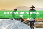 离婚了好孤单(离婚了好孤单怎么办)