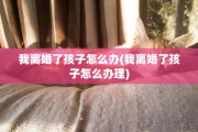 我离婚了孩子怎么办(我离婚了孩子怎么办理)