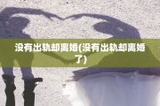 没有出轨却离婚(没有出轨却离婚了)