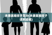 夫妻离婚孩子怎分(夫妻离婚孩子该判给谁)