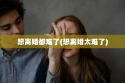 想离婚都难了(想离婚太难了)