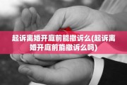 起诉离婚开庭前能撤诉么(起诉离婚开庭前能撤诉么吗)