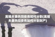 离婚夫妻共同债务如何分割(离婚夫妻共同债务如何分割财产)
