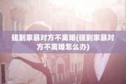 碰到家暴对方不离婚(碰到家暴对方不离婚怎么办)