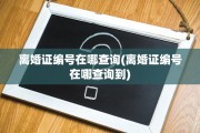 离婚证编号在哪查询(离婚证编号在哪查询到)