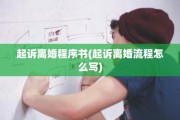 起诉离婚程序书(起诉离婚流程怎么写)