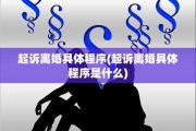 起诉离婚具体程序(起诉离婚具体程序是什么)