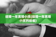 结婚一年离婚小孩(结婚一年离婚小孩判给谁)