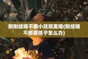 刚刚结婚不要小孩就离婚(刚结婚不想要孩子怎么办)