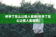 怀孕了怎么让情人离婚(怀孕了怎么让情人离婚呢)