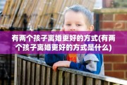 有两个孩子离婚更好的方式(有两个孩子离婚更好的方式是什么)