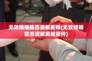 无效婚姻能否调解离婚(无效婚姻能否调解离婚案件)