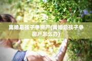 离婚后孩子争房产(离婚后孩子争房产怎么办)