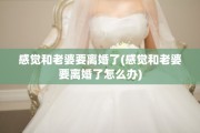感觉和老婆要离婚了(感觉和老婆要离婚了怎么办)