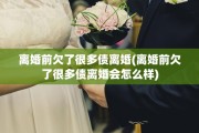 离婚前欠了很多债离婚(离婚前欠了很多债离婚会怎么样) 离婚前欠了很多债离婚(离婚前欠了很多债离婚会怎么样)