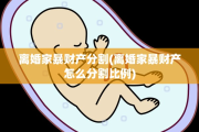 离婚家暴财产分割(离婚家暴财产怎么分割比例)
