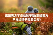 离婚男方不肯给孩子我(离婚男方不肯给孩子我怎么办)
