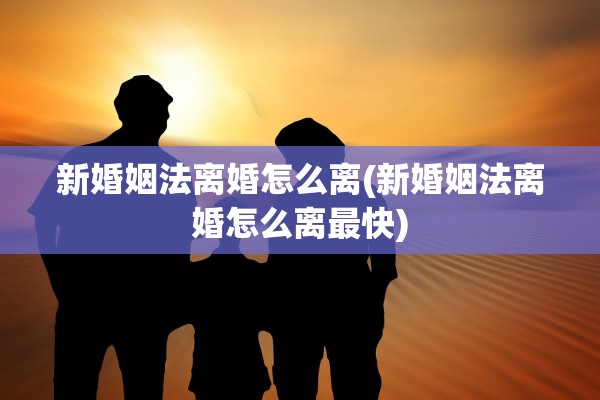 新婚姻法离婚怎么离(新婚姻法离婚怎么离最快)