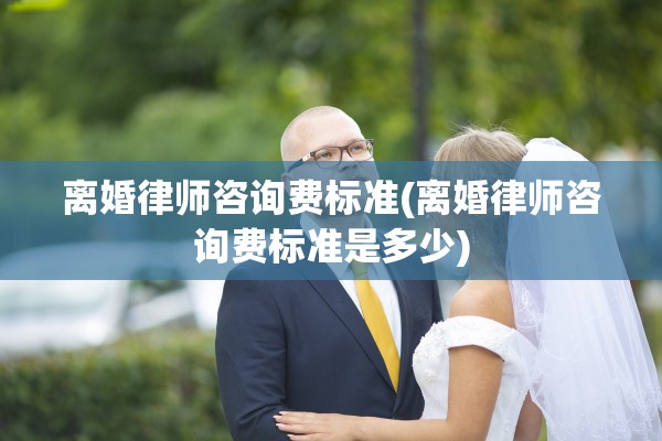 离婚律师咨询费标准(离婚律师咨询费标准是多少)