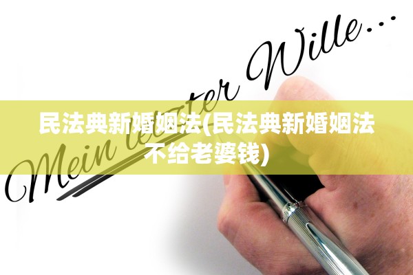 民法典新婚姻法(民法典新婚姻法不给老婆钱)