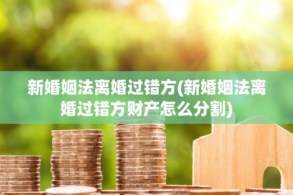 新婚姻法离婚过错方(新婚姻法离婚过错方财产怎么分割)