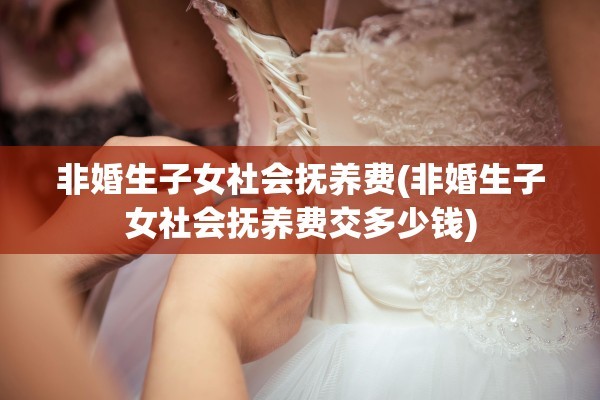 非婚生子女社会抚养费(非婚生子女社会抚养费交多少钱)