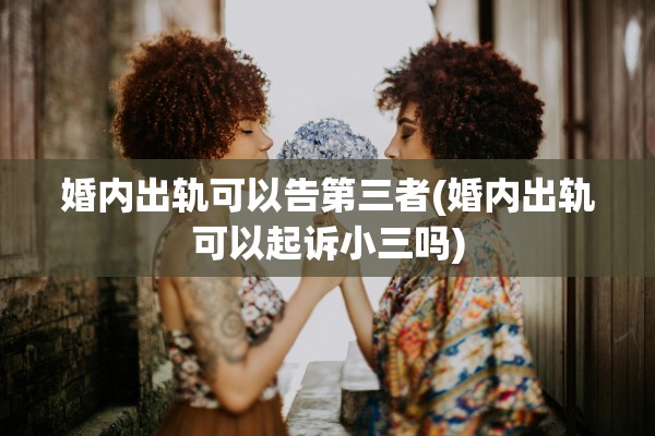 婚内出轨可以告第三者(婚内出轨可以起诉小三吗)