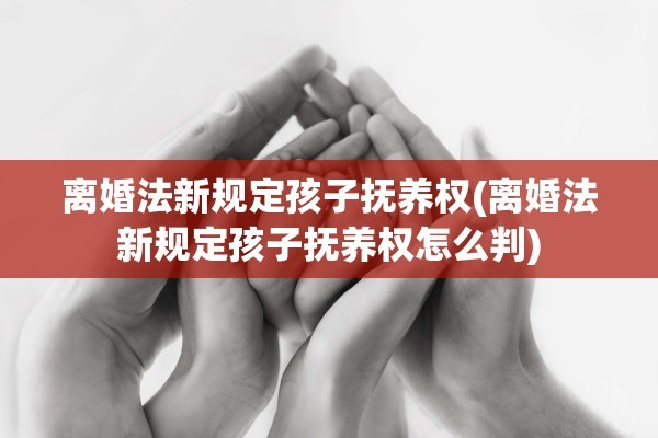 离婚法新规定孩子抚养权(离婚法新规定孩子抚养权怎么判)