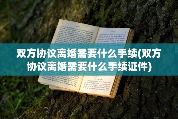 双方协议离婚需要什么手续(双方协议离婚需要什么手续证件)