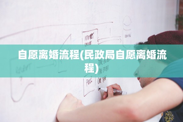 自愿离婚流程(民政局自愿离婚流程)