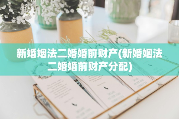 新婚姻法二婚婚前财产(新婚姻法二婚婚前财产分配)