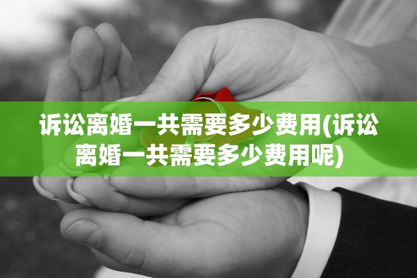 诉讼离婚一共需要多少费用(诉讼离婚一共需要多少费用呢)