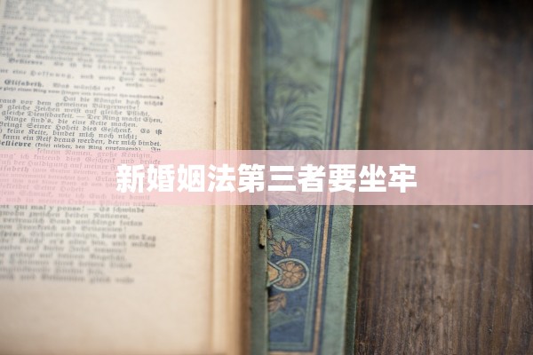 新婚姻法第三者要坐牢