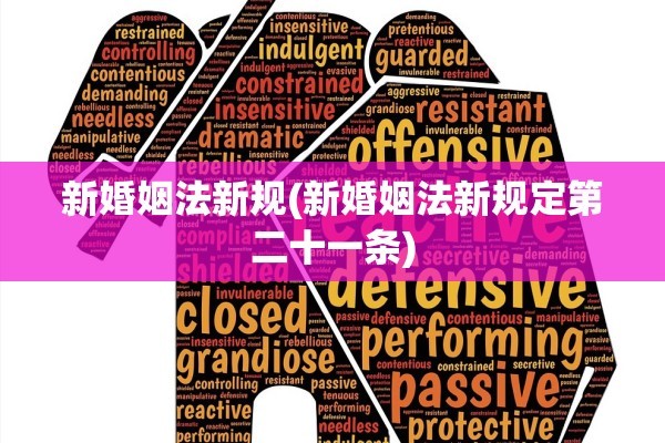 新婚姻法新规(新婚姻法新规定第二十一条)