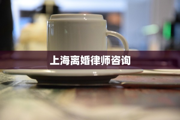 上海离婚律师咨询
