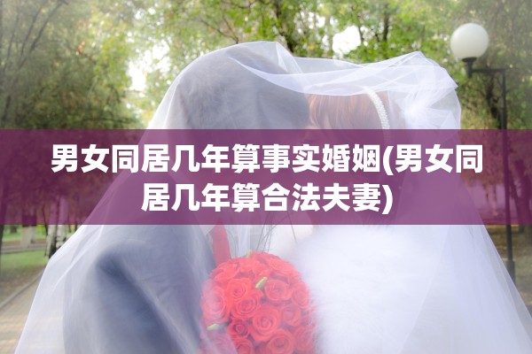 男女同居几年算事实婚姻(男女同居几年算合法夫妻)