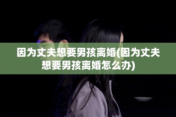 因为丈夫想要男孩离婚(因为丈夫想要男孩离婚怎么办)