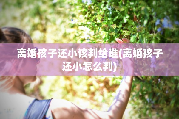 离婚孩子还小该判给谁(离婚孩子还小怎么判)