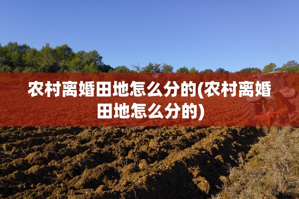 农村离婚田地怎么分的(农村离婚田地怎么分的)