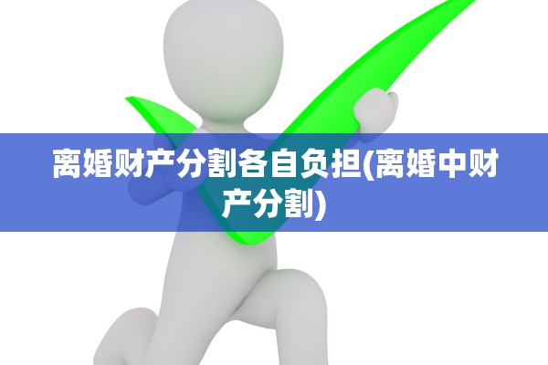离婚财产分割各自负担(离婚中财产分割)