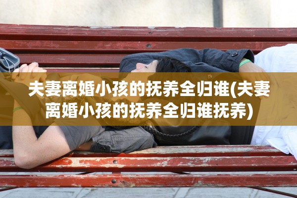 夫妻离婚小孩的抚养全归谁(夫妻离婚小孩的抚养全归谁抚养)