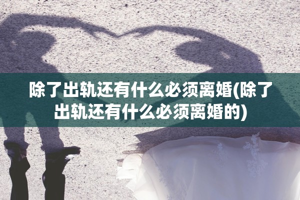除了出轨还有什么必须离婚(除了出轨还有什么必须离婚的)