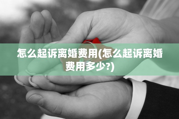 怎么起诉离婚费用(怎么起诉离婚费用多少?)