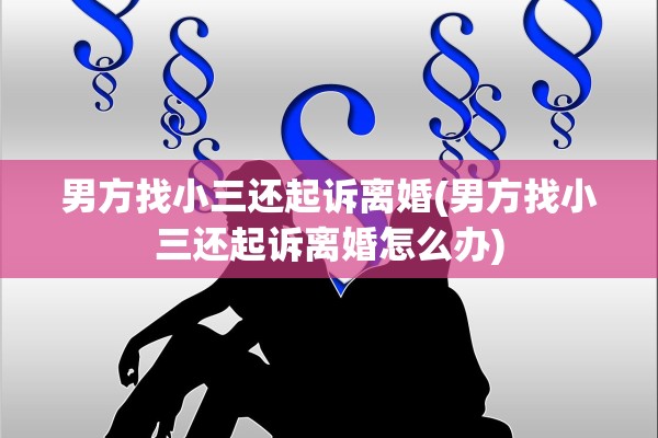 男方找小三还起诉离婚(男方找小三还起诉离婚怎么办)