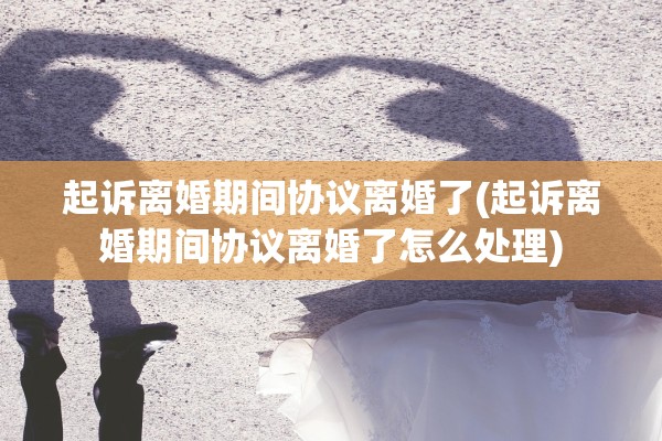 起诉离婚期间协议离婚了(起诉离婚期间协议离婚了怎么处理)