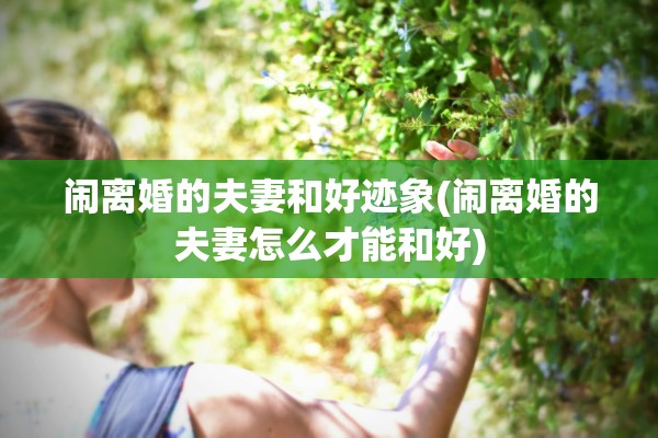 闹离婚的夫妻和好迹象(闹离婚的夫妻怎么才能和好)